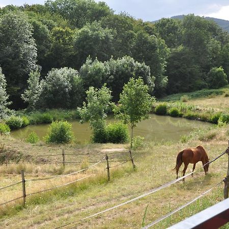 Bed and Breakfast La Bergerie Pollionnay Zewnętrze zdjęcie