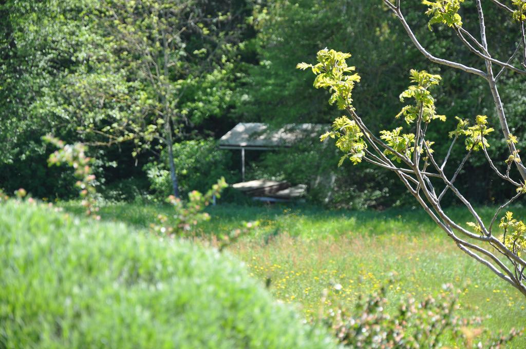 Bed and Breakfast La Bergerie Pollionnay Zewnętrze zdjęcie