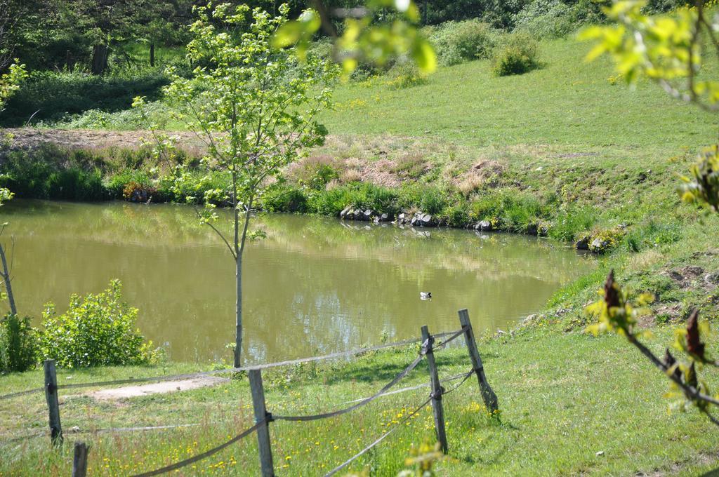 Bed and Breakfast La Bergerie Pollionnay Zewnętrze zdjęcie