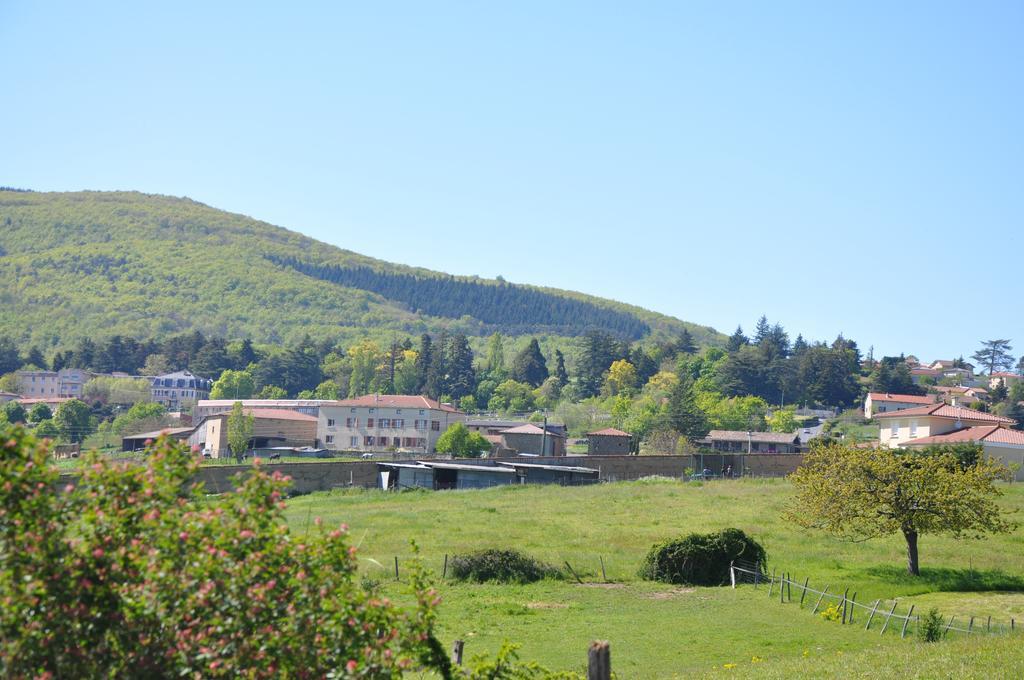 Bed and Breakfast La Bergerie Pollionnay Zewnętrze zdjęcie