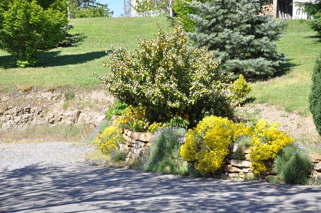 Bed and Breakfast La Bergerie Pollionnay Zewnętrze zdjęcie