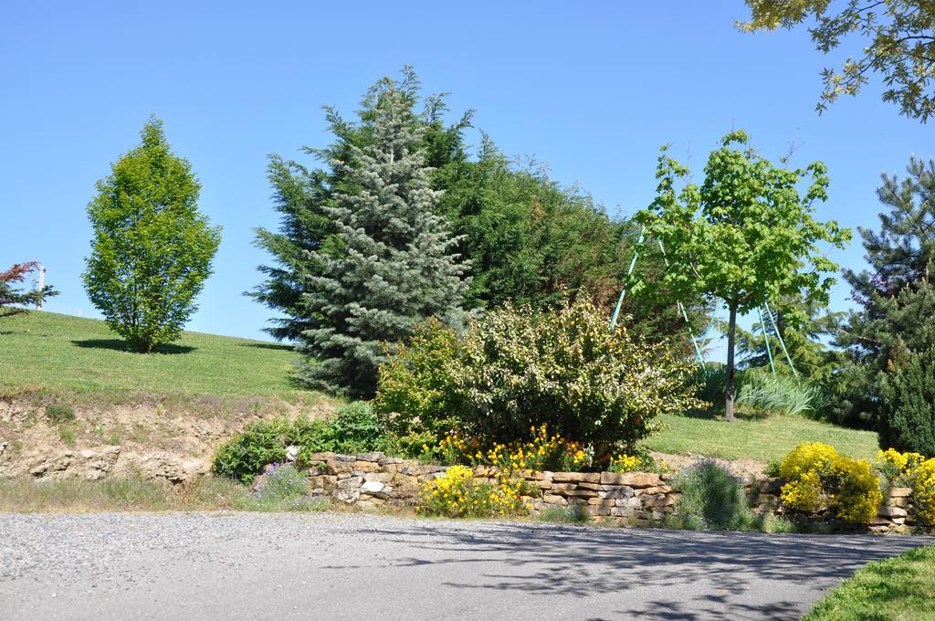 Bed and Breakfast La Bergerie Pollionnay Zewnętrze zdjęcie