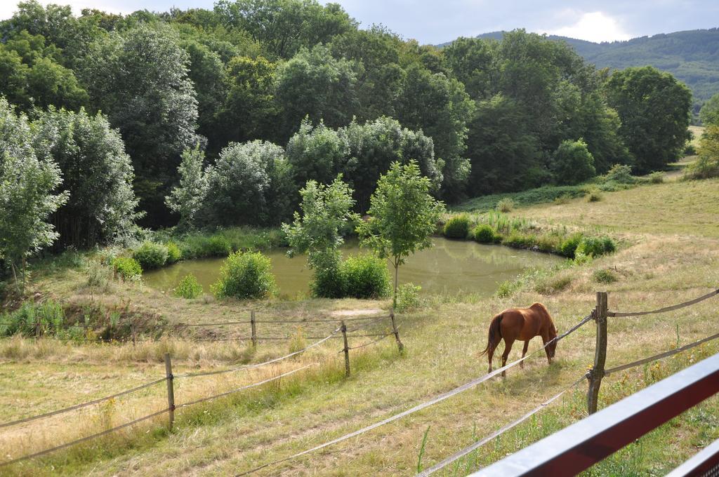 Bed and Breakfast La Bergerie Pollionnay Zewnętrze zdjęcie
