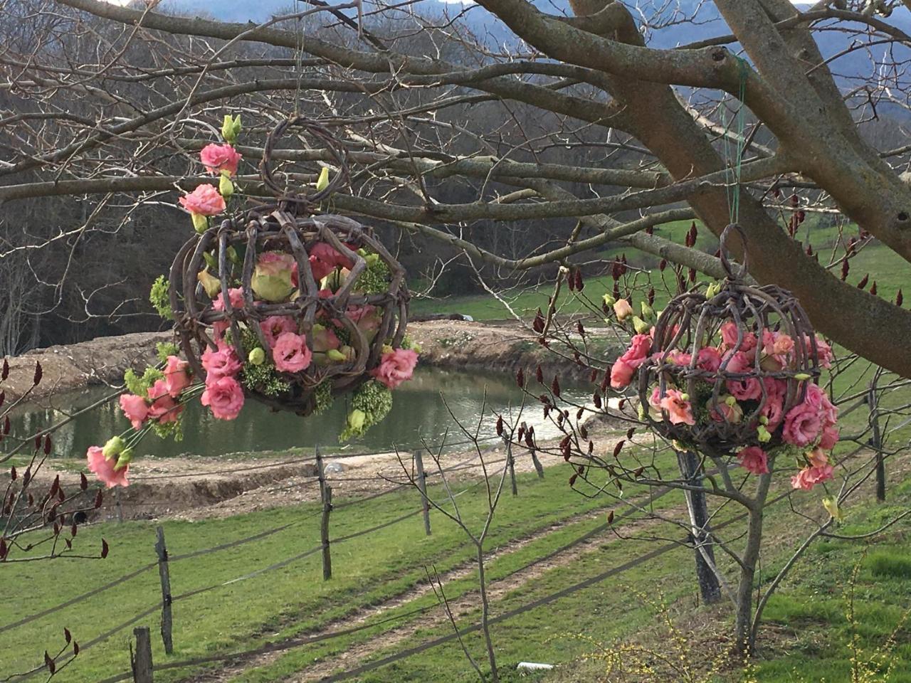 Bed and Breakfast La Bergerie Pollionnay Zewnętrze zdjęcie